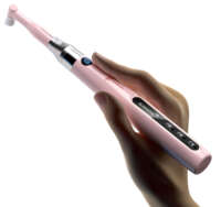 Акція! Мотор для полірування Prophy Mini + 70 головок для полірування Woodpecker(Китай) Zooble.com.ua