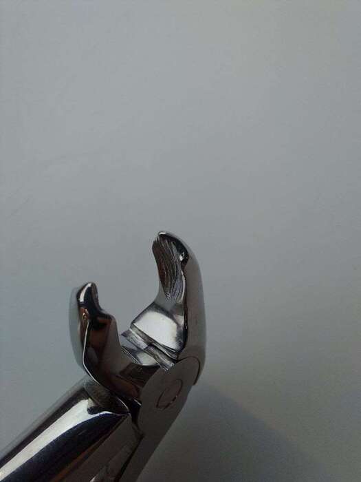 5315.Y0.06 Щипці дитячі для видалення нижніх молярів На складі , Zooble.com.ua