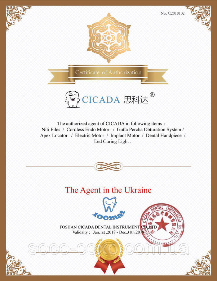 CICADA SC FILES Niti Endodontic files набор, 25 мм, 5 шт./упак. Zooble.com.ua