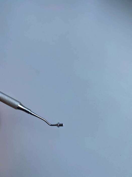 Кістковий компактно з ложкою на складі , виробник Італія DenTag Zooble.com.ua