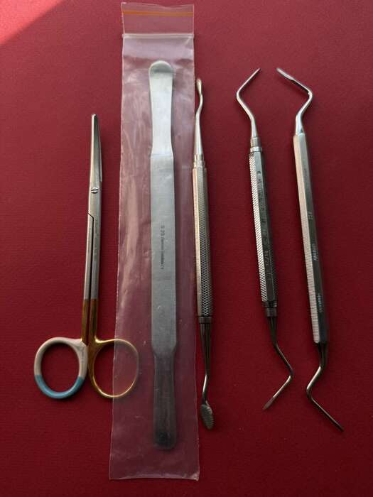 Набір хірургічний виставковий американський, распатор, ножиці,кюретажні ложкі(2х сторонні елеватори) Zooble.com.ua