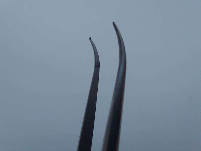 Пінцет для мікрохірургії DenTag(Італія) наявні на складі! Zooble.com.ua