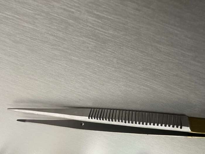 Пінцет мікрохірургічний SV DENTAL SHOP USA 18cm літній розпродаж! Zooble.com.ua