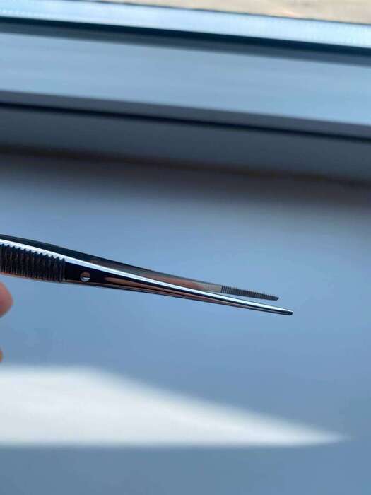 Пінцет семкен тейлор Італія DenTag на складі італійські якісні! Zooble.com.ua