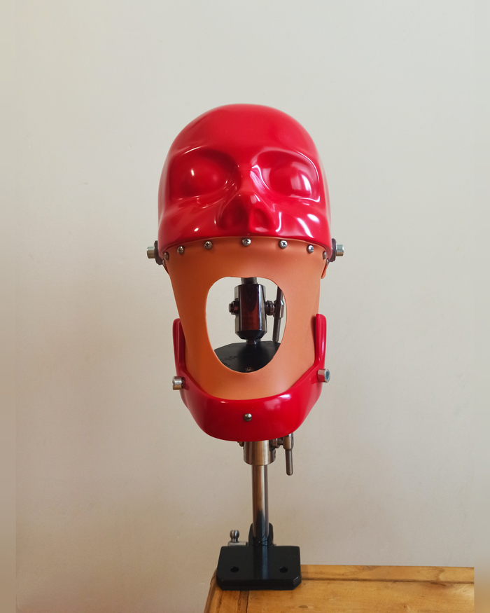 По штучний та оптовий продаж стоматологічних фантомів за доступними цінами. Zooble.com.ua