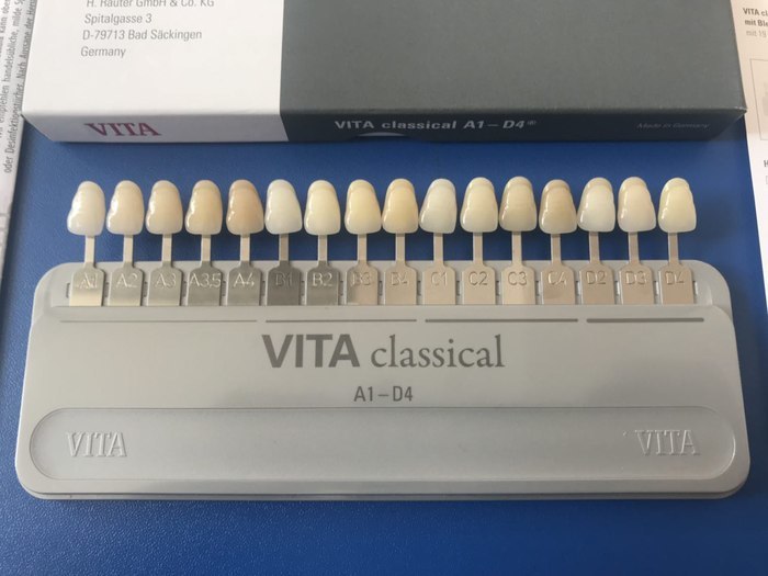 Розколірка Vita Classic Dental A1-D4 Zooble.com.ua