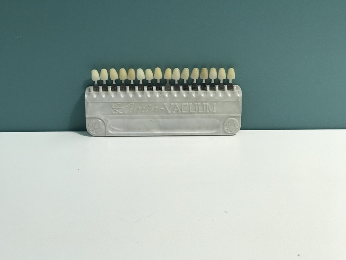 Розколірка Віта (Vita) Zooble.com.ua