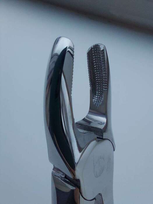 Щипці для фронтальної ділянки (видалення різців та ікла ) 121 євро(Італія,DenTag) Zooble.com.ua