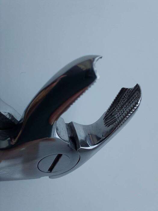 Щипці для видалення нижніх молярів, правосторонні 121 євро Zooble.com.ua