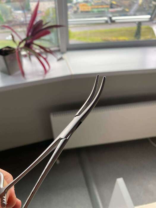 Зажим гемостатичний Kelly DenTag(Italy) на складі! Zooble.com.ua