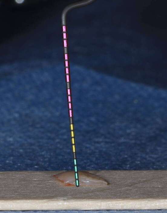 Зонд USTOMED ТОП!Залишся останній вільний! Також формуємо нове замовлення! Zooble.com.ua